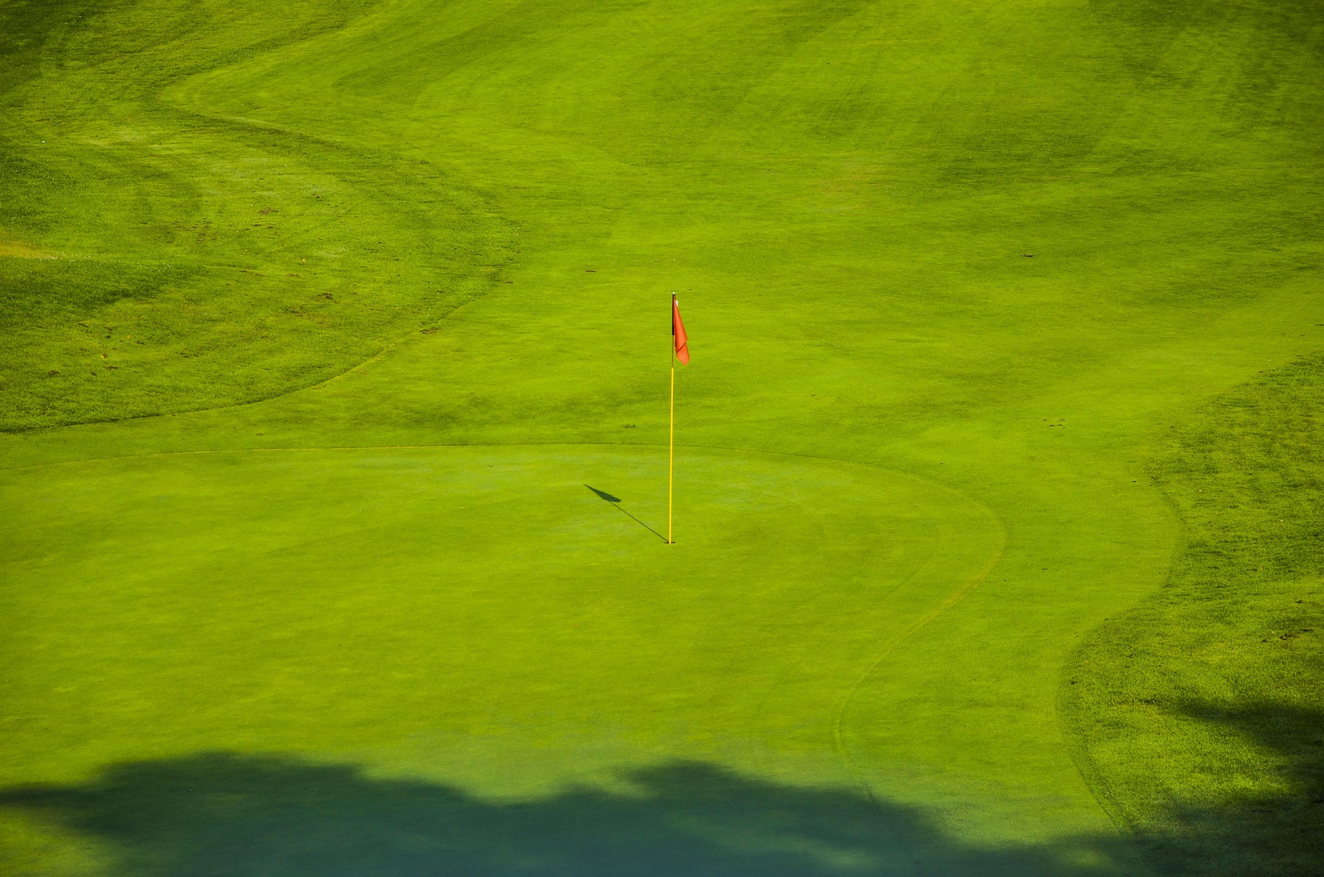 A green golf course under a clear sky